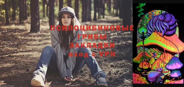 соль курить ск Богородицк
