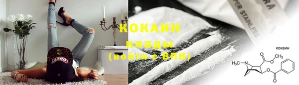 spice Богородск