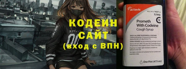крисы Лабытнанги